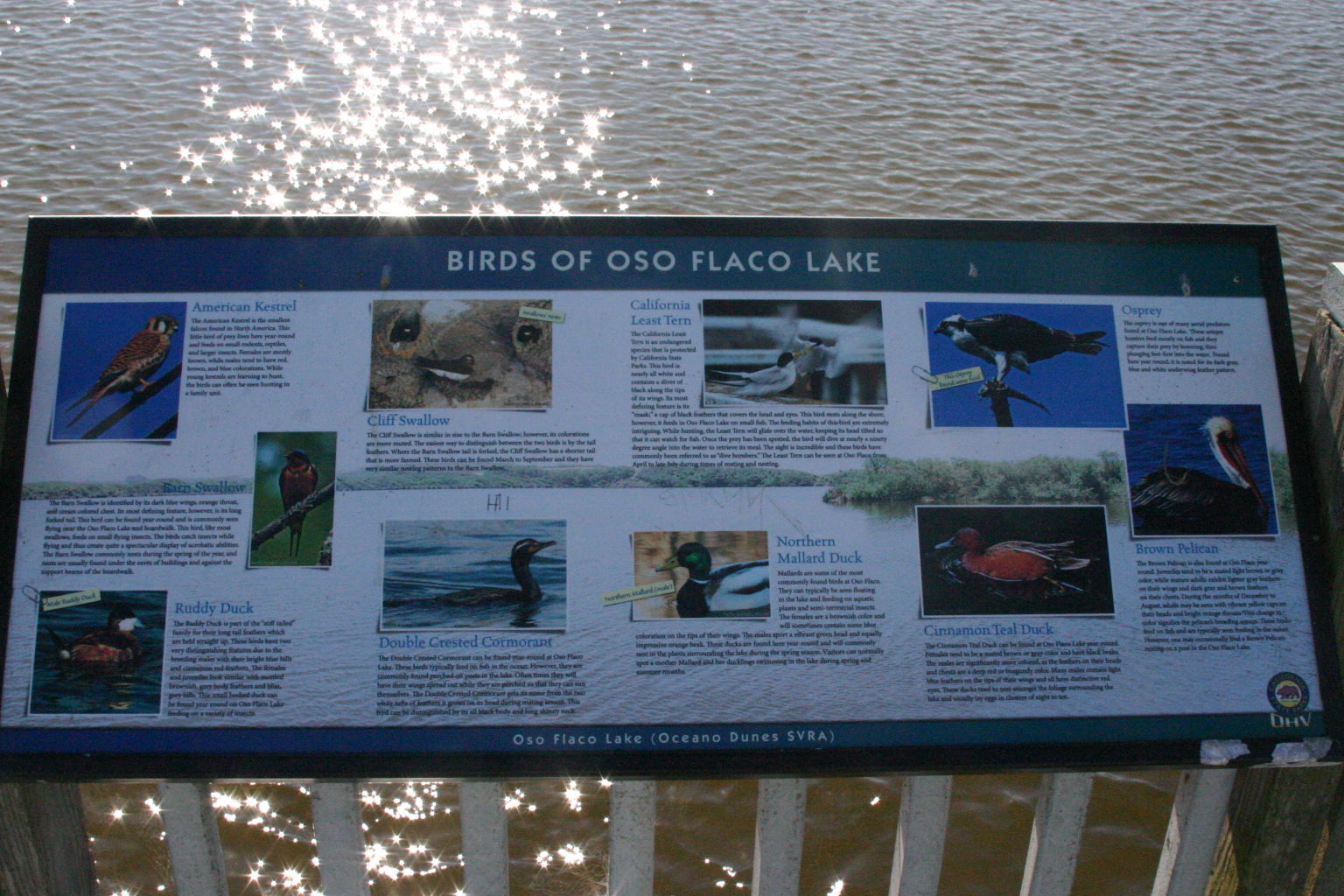 Oso Flaco Boardwalk